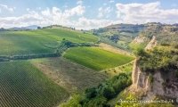 Paesaggio bucolico nei pressi di Offida, Marche