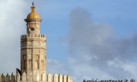 Particolare della Torre dell'Oro di Siviglia in Andalusia, Spagna