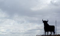 Silhouette di un toro in Andalusia, Spagna