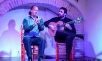 Spettacolo di flamenco a Siviglia in Andalusia, Spagna