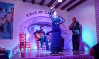 Spettacolo di flamenco a Siviglia in Andalusia, Spagna