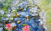 Torrente Devero, Piemonte