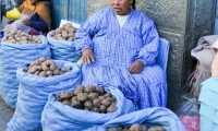 Donna presso il mercato di La Paz, Bolivia