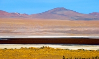 Laguna Colorada, Bolivia