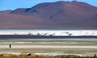 Laguna Colorada, Bolivia