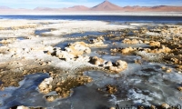 Laguna Colorada, Bolivia