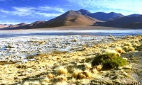 Laguna Colorada, Bolivia