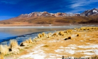 Laguna Hedionda, Bolivia