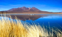 Laguna Hedionda, Bolivia