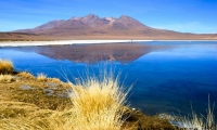 Laguna Hedionda, Bolivia