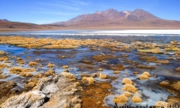 Laguna Hedionda, Bolivia