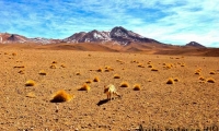 Laguna Hedionda, Bolivia