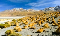 Laguna Hedionda, Bolivia