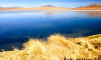 Laguna Hedionda, Bolivia