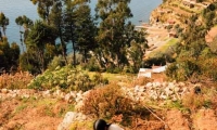 Mamma e figlia che coltivano sull'Isla del Sol, Bolivia