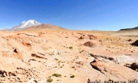 Paesaggio ad alta quota, Bolivia