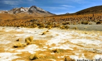 Paesaggio ad alta quota, Bolivia