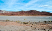 Paesaggio tra Potosì e Uyuni, Bolivia