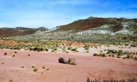 Paesaggio tra Potosì e Uyuni, Bolivia