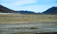 Paesaggio tra Potosì e Uyuni, Bolivia