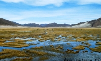 Paesaggio tra Potosì e Uyuni, Bolivia