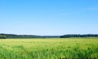 Paesaggio nei dintorni del Tenimento Al Castello di Sillavengo, Novara