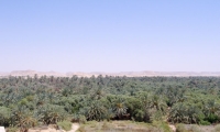 Oasi di Siwa, Egitto