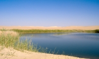 Pozza d'acqua nel deserto del Sahara, Egitto