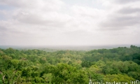 Tikal, Guatemala