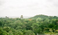 Tikal, Guatemala