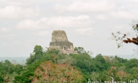 Tikal, Guatemala