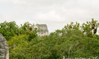 Tikal, Guatemala