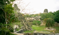 Tikal, Guatemala