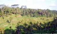 Tegallalang, Bali