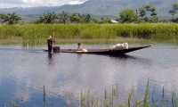 Presso il lago Inle, Myanmar