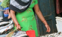 Pescheria a Bhaktapur, Nepal