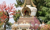 Presso il Monastero di Kopan, Nepal