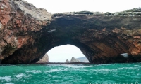 Isole Ballestas, Perù