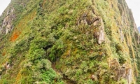 Wayna Picchu, Perù