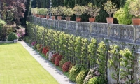 Giardino di Villa Borromeo sull'Isola Bella, Piemonte