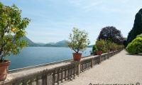 Giardino di Villa Borromeo sull'Isola Bella, Piemonte