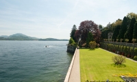 Giardino di Villa Borromeo sull'Isola Bella, Piemonte