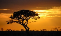 Tramonto africano, Tanzania