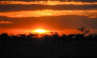 Tramonto africano, Tanzania