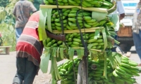 Trasporto di babane, Tanzania