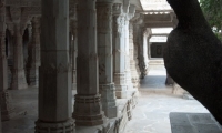 Presso il Tempio di Ranakpur, Rajasthan