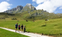 Presso Malga Vaciara, Alto Adige