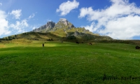 Presso Malga Vaciara, Alto Adige