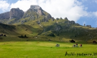 Presso Malga Vaciara, Alto Adige