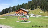 Presso Rifugio Casnago, Alto Adige